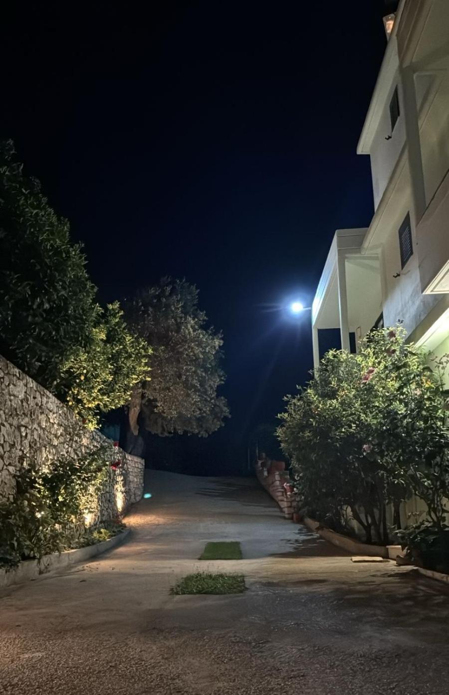 Apartamento Filoxenia Palasë