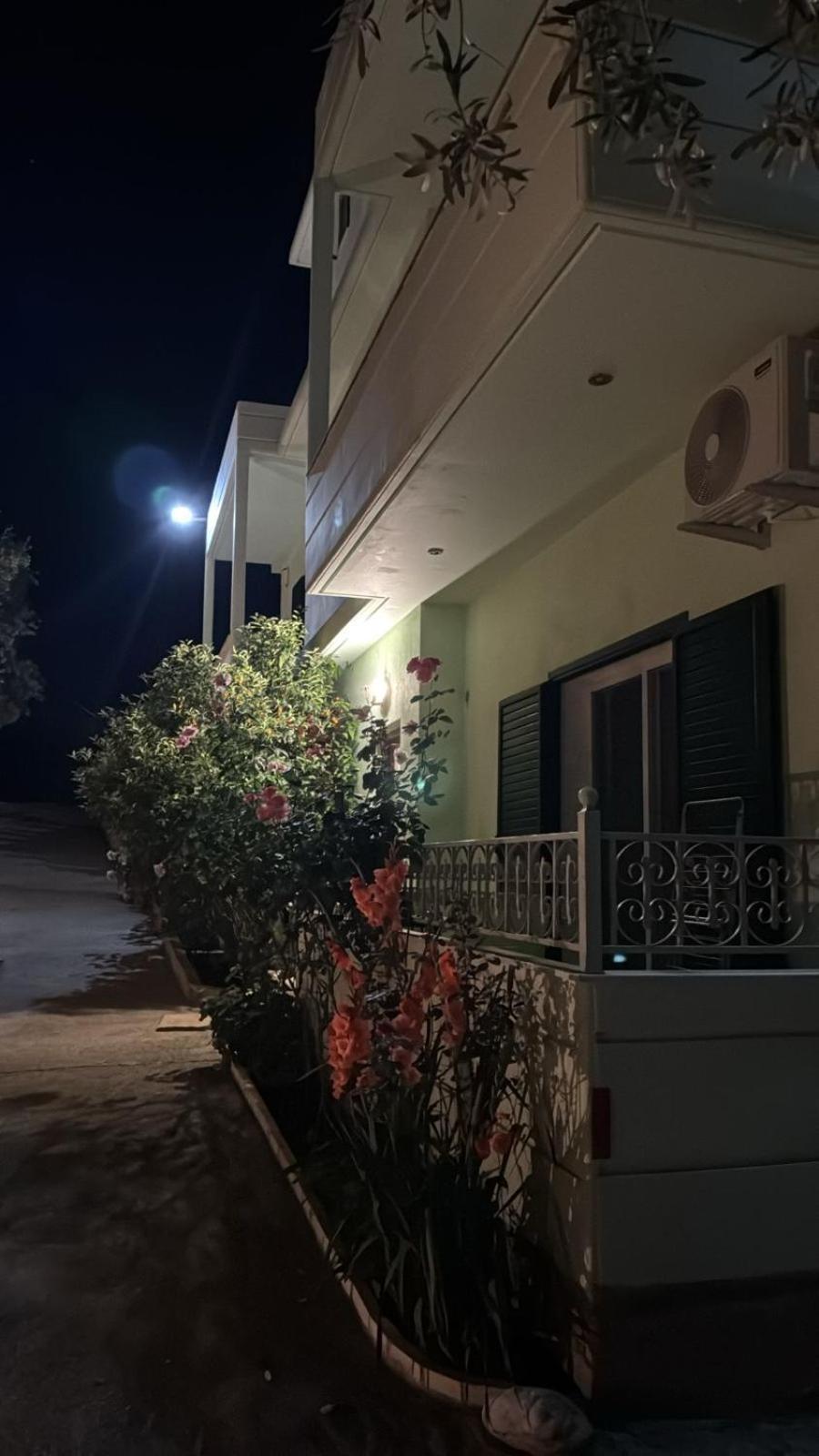Filoxenia Palasë